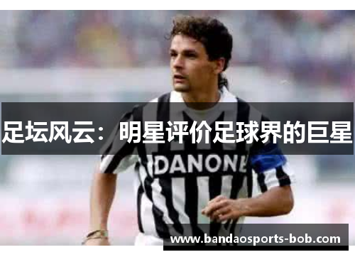 足坛风云：明星评价足球界的巨星