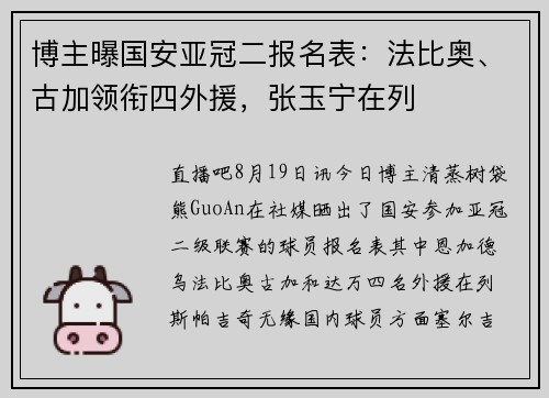 博主曝国安亚冠二报名表：法比奥、古加领衔四外援，张玉宁在列